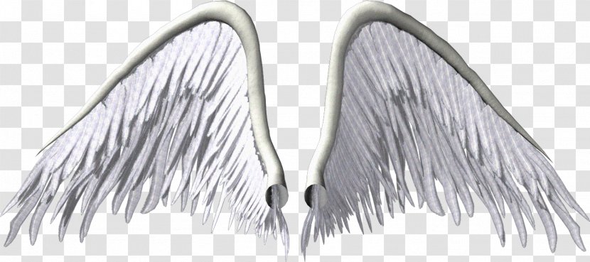 Angel Wing Clip Art - Author Transparent PNG