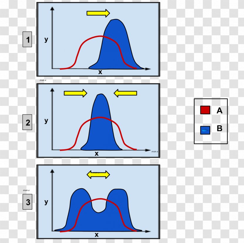 Natural Selection Disruptive Directional Evolution Stabilizing - Darwinism - Blurred Effect Transparent PNG