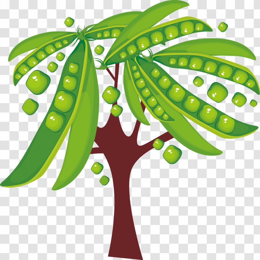 Pea Tree Icon - Leaf - Pod Vegetable Food Vector Green Growth Transparent PNG