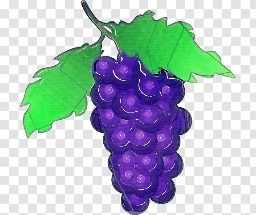 Grape Leaves Seedless Fruit Grapevine Family Vitis - Violet - Purple Transparent PNG