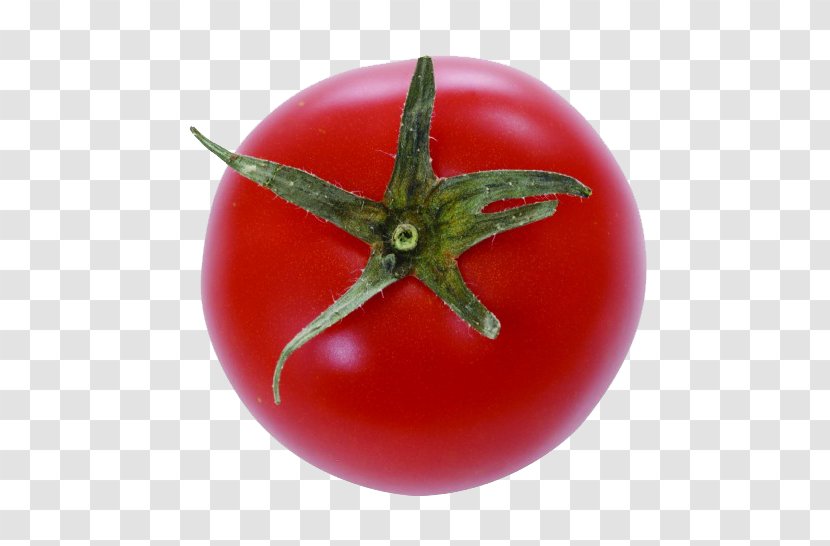 Plum Tomato Cherry Bush - Vegetable - Red Persimmon Transparent PNG
