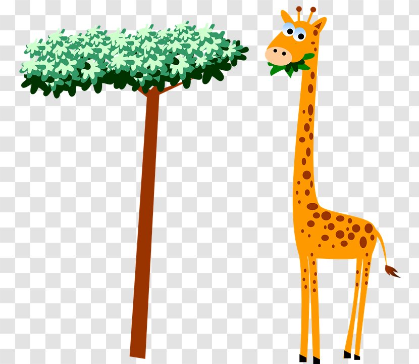 Baby Giraffes Cartoon Clip Art - Wildlife - Giraffe Eating Leaves Transparent PNG