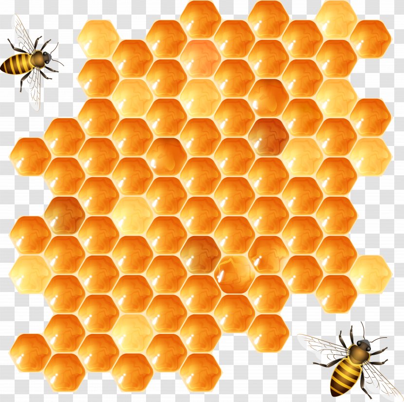 Beehive Honeycomb - Nectar - Bee Hive Design Vector Material Transparent PNG