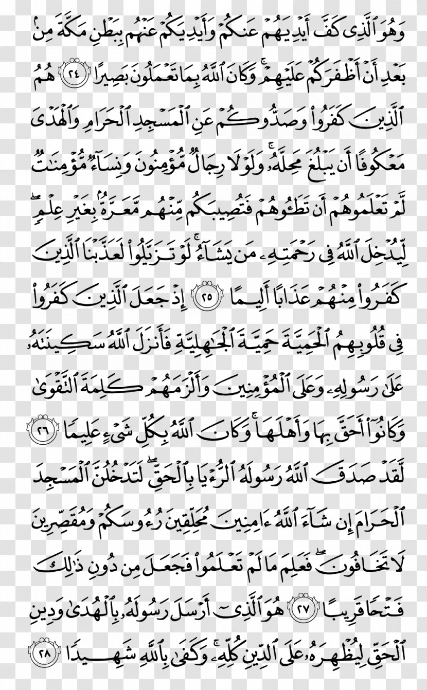 Quran Surah Yunus Ayah Abasa - Flower - Kareem Transparent PNG