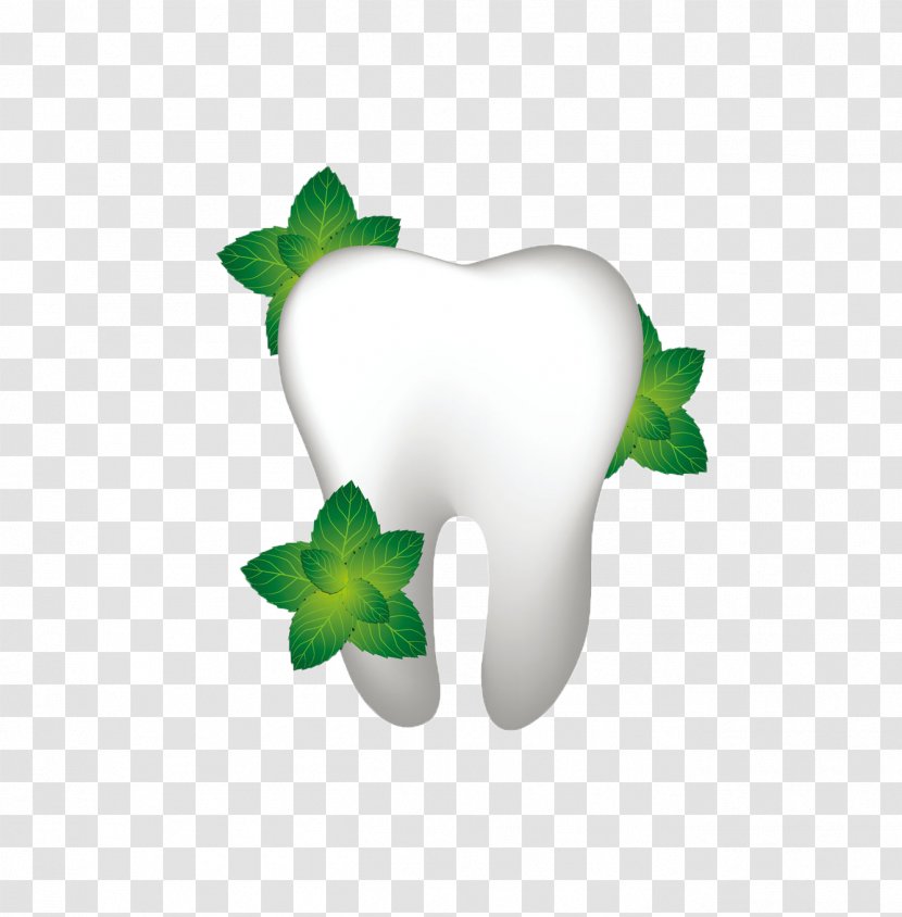 Human Tooth Dentistry Dental Floss Gums - Frame - Leaf Transparent PNG