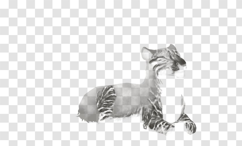 Lion Whiskers Tiger Felidae Cat Transparent PNG