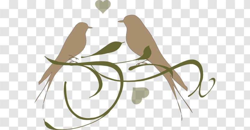 Lovebird Parrot Clip Art - Plant Stem - Loving Birds Transparent PNG