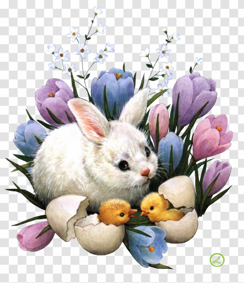 Easter Bunny Desktop Wallpaper Egg Hunt Transparent PNG