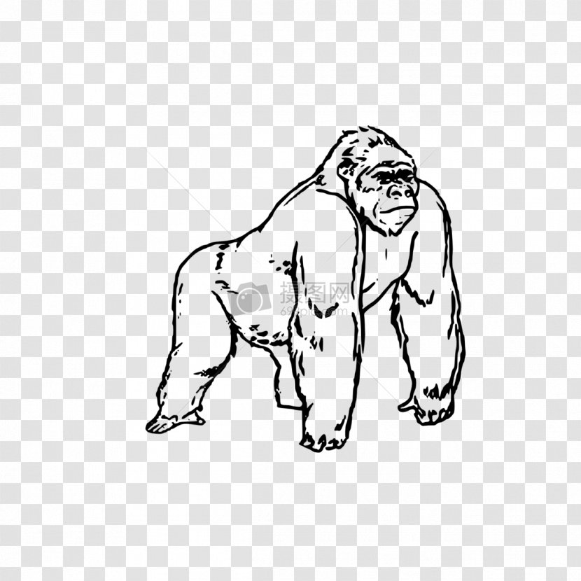 Gorilla Coloring Book Colouring Pages Image Child - Flower Transparent PNG