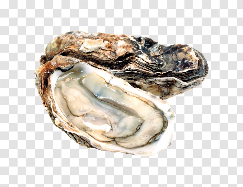 Pacific Oyster Food InterCourses Shellfish - Roasting Transparent PNG