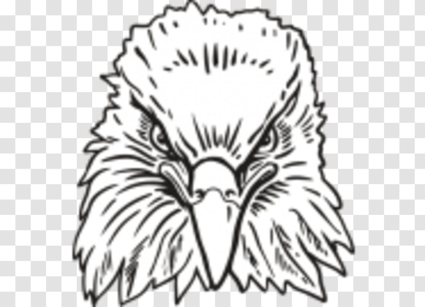 Bald Eagle Bird Clip Art - Flower Transparent PNG