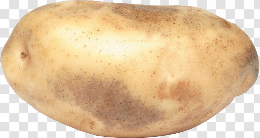 Potato Clip Art - Images Transparent PNG