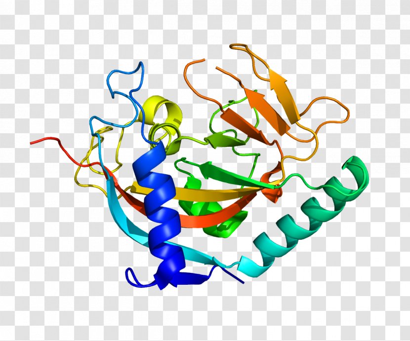 Structural Genomics Protein Structure Biology - Tree Transparent PNG