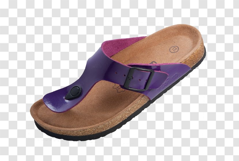 Slipper Shoe Footwear Lilac Purple - Violet - 85 Transparent PNG