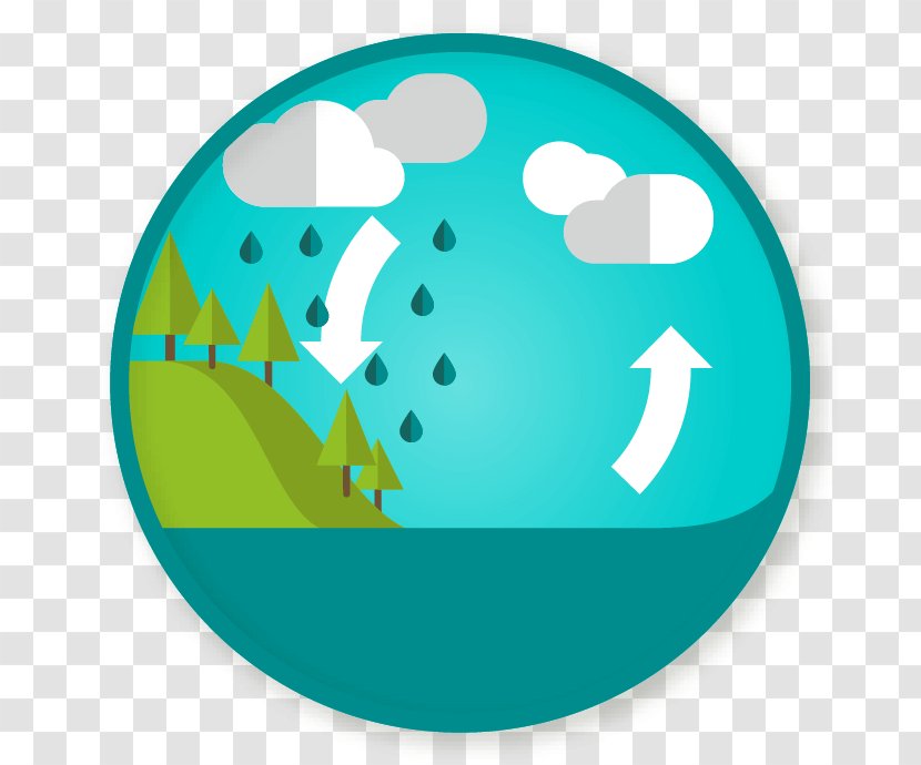 Water Cycle Clip Art Image Evaporation - Globe - Ciclo Infographic Transparent PNG