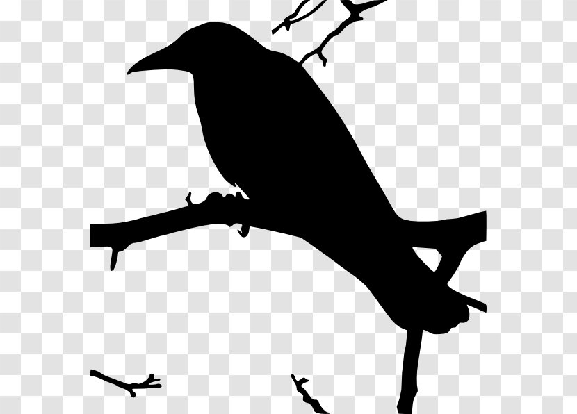 The Raven Common Clip Art - Wildlife Transparent PNG
