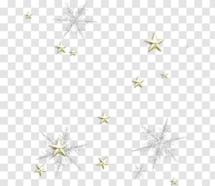 Petal Star Pattern - White - Christmas Transparent PNG