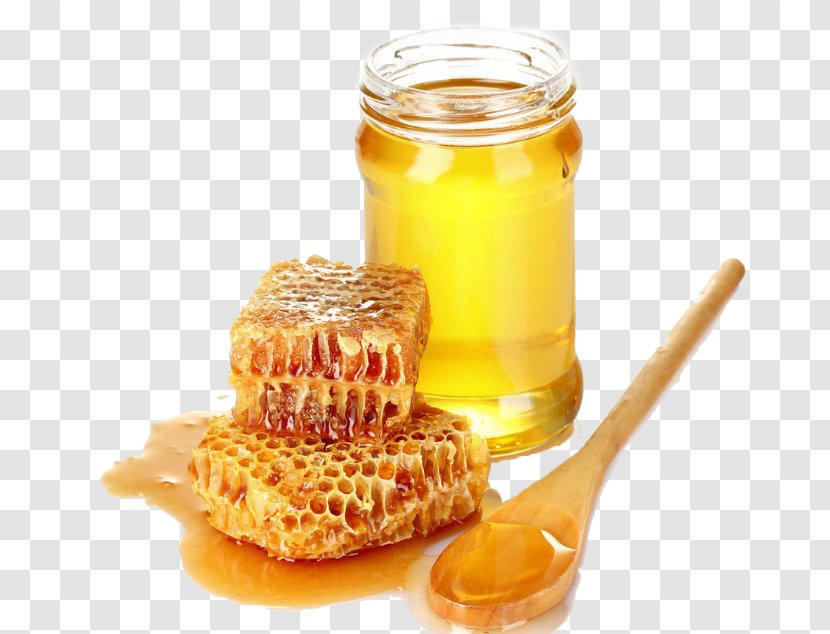 Galau021bi County Tulcea Bee Honeycomb - Egg - Honey Pot Transparent PNG