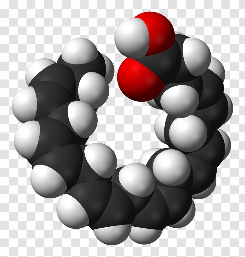 Omega-3 Fatty Acid Docosahexaenoic Eicosapentaenoic - Fish Oil - Ester Transparent PNG
