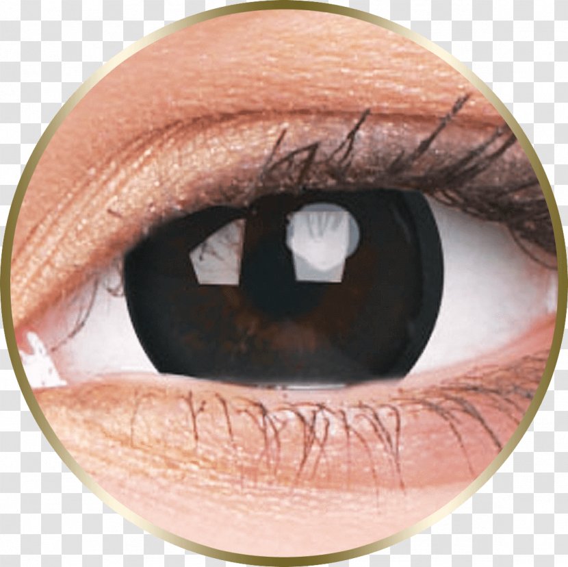 Contact Lenses Circle Lens Color Glasses - Eye Transparent PNG