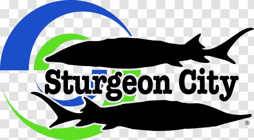New River Sturgeon City Jacksonville-Onslow Sports Commission Court Street Logo - Jacksonville Transparent PNG