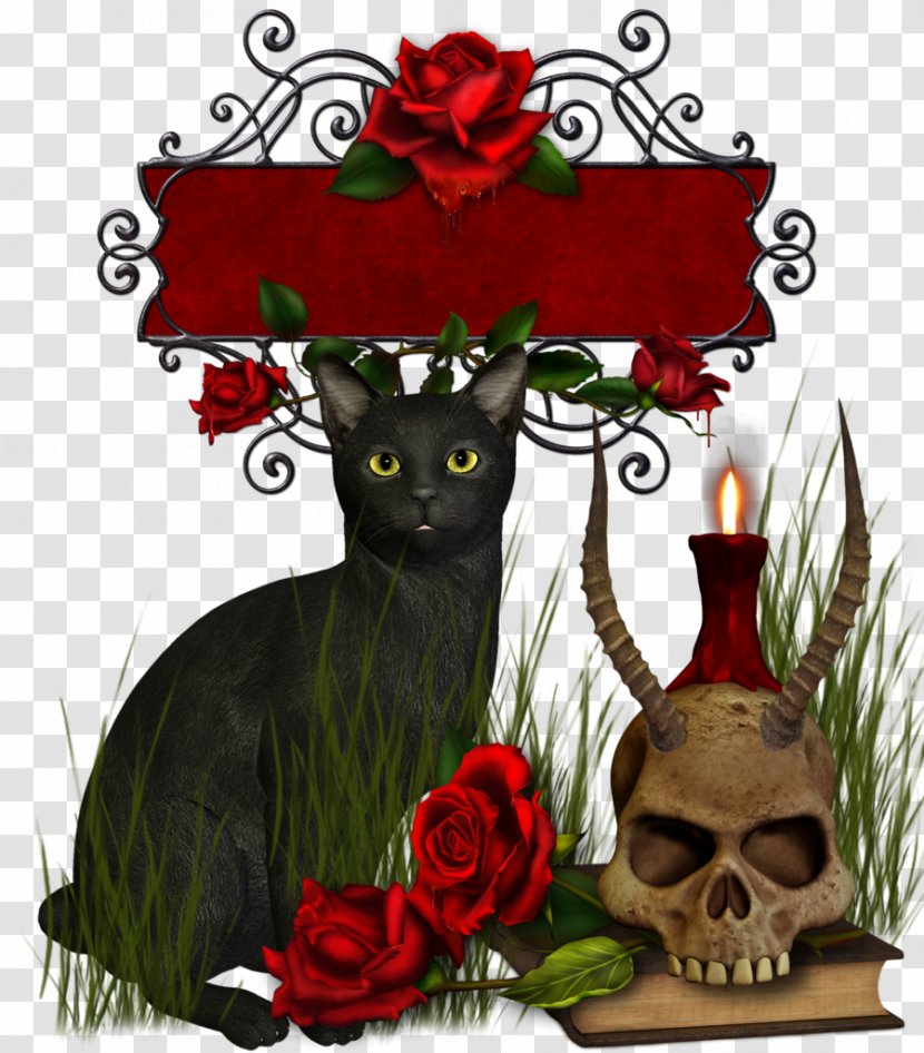 GIF Clip Art Black Rose Image Gfycat - Animation - Skull And Cat Transparent PNG