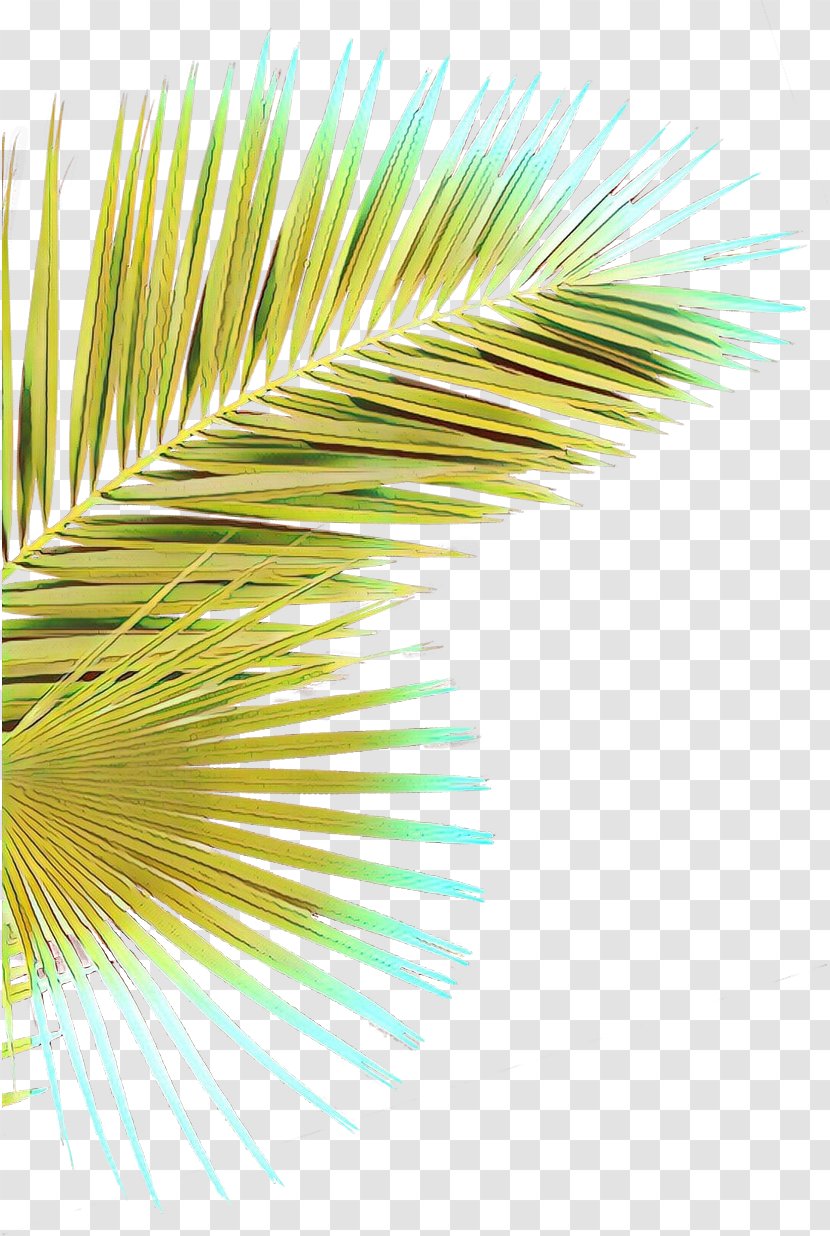 Green Yellow Line Tree Plant - Arecales Transparent PNG