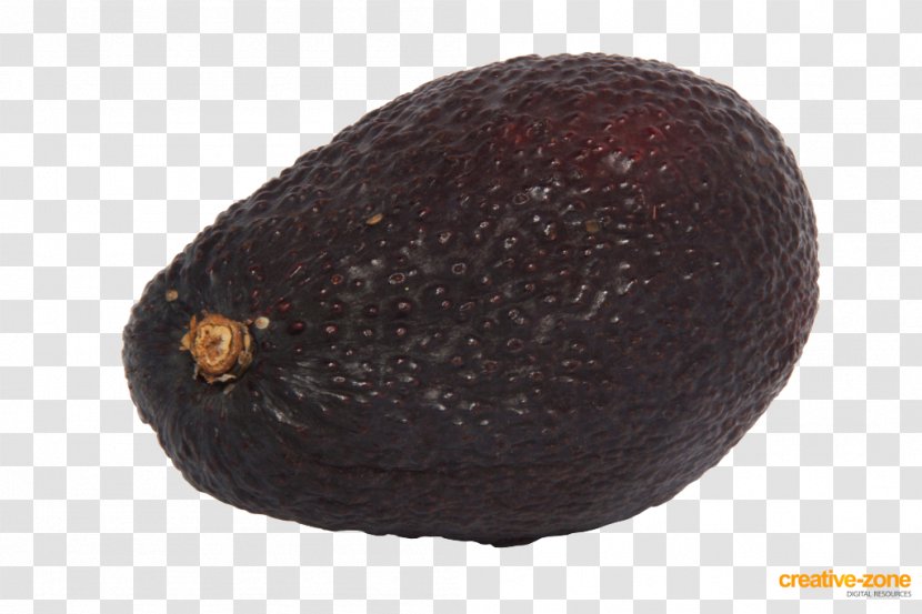 Fruit - Avocato Transparent PNG