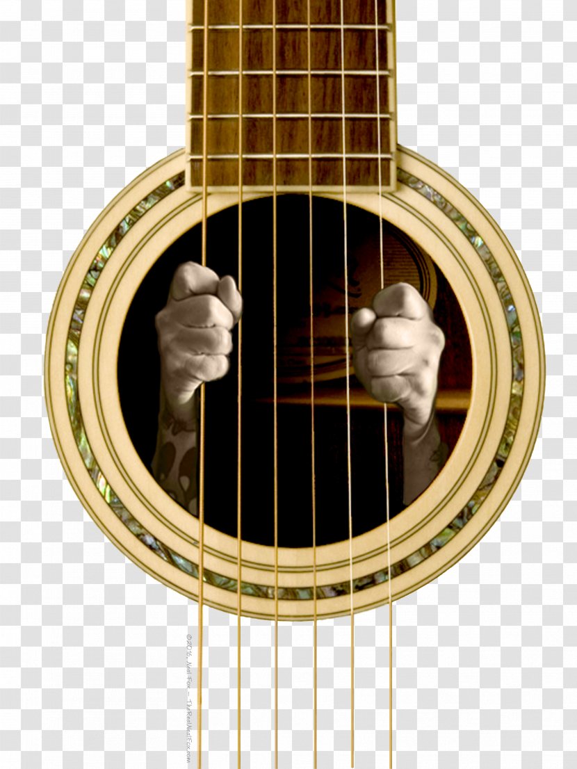 Acoustic Guitar T-shirt Musical Instruments - Tree Transparent PNG