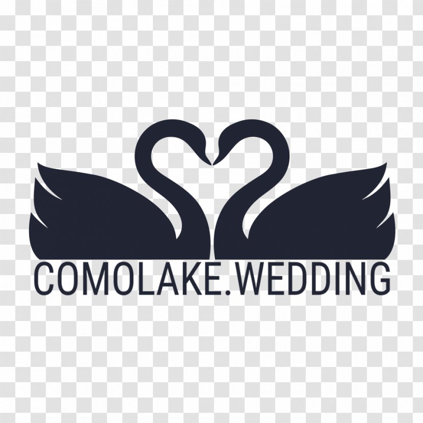 Lake Como Wedding Province Of Marriage Love Many Things, For Therein Lies The True Strength, And Whosoever Loves Much Performs Much, Can Accomplish What Is Done In Well. - Text - Logo Transparent PNG