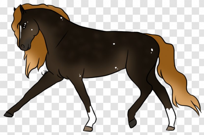 Foal Stallion Mustang Mare Colt Transparent PNG