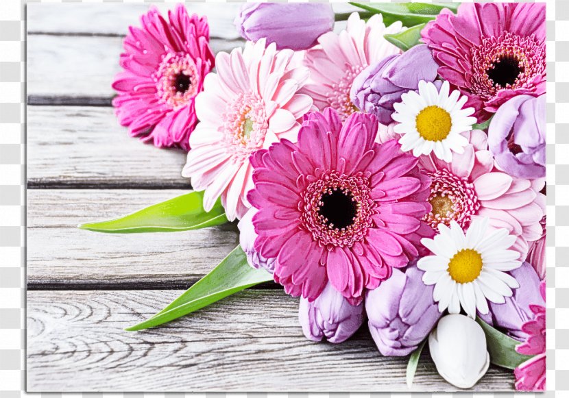Flower Barberton Daisy Gerbera Pink Petal - Purple - Bouquet Transparent PNG