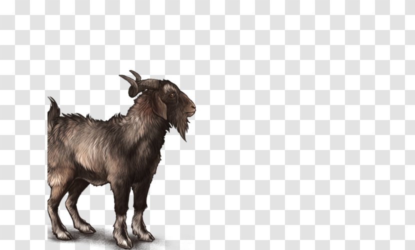 Goat Fauna Wildlife Snout - Lion Cub Transparent PNG