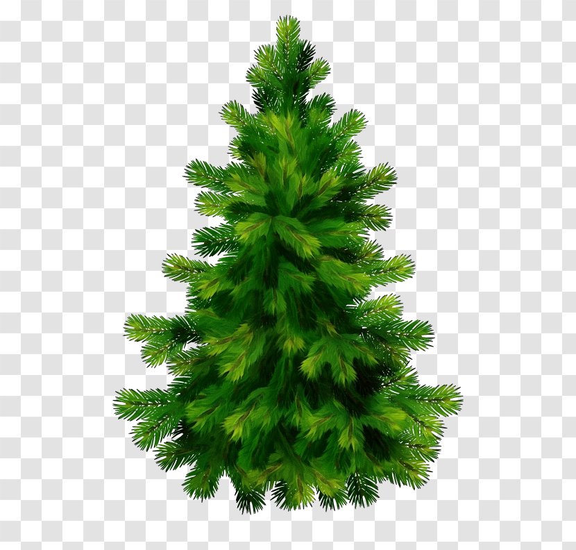 Christmas Black And White - Sugar Pine - Juniper Georgia Transparent PNG