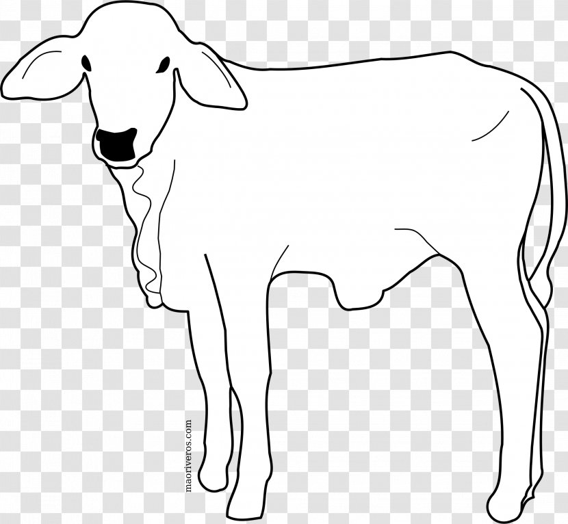 Cattle Line Art Drawing - Silhouette - Cow Transparent PNG