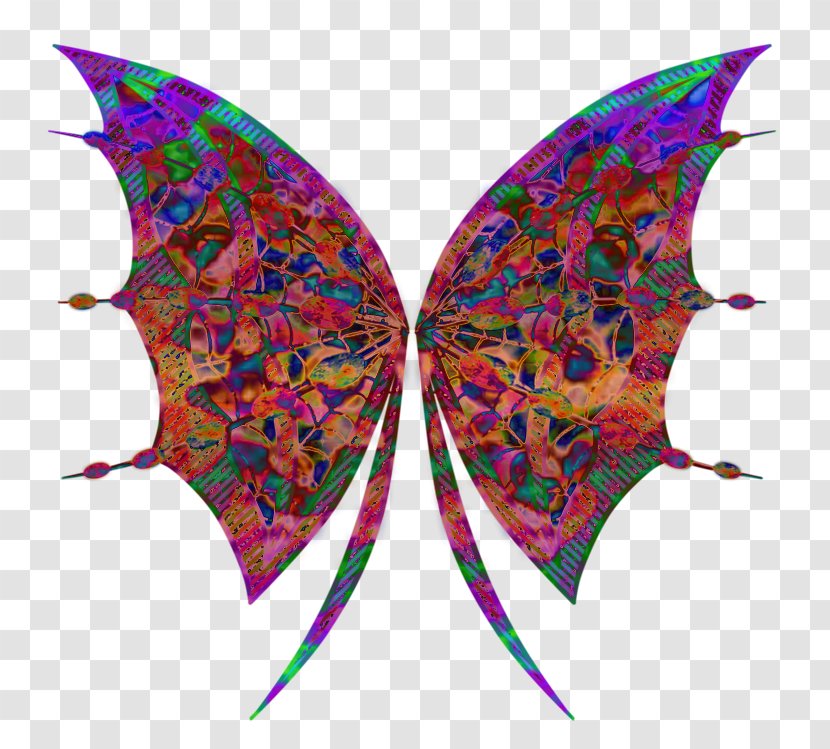 Moth Symmetry Leaf - Organism - Gi Transparent PNG
