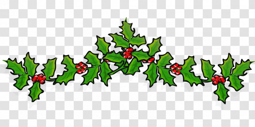 Holly - American - Pine Christmas Eve Transparent PNG