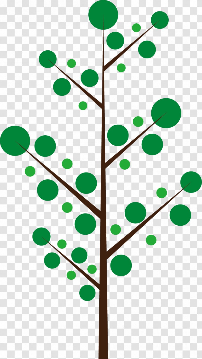 Green Lines Of Trees - Stock Photography - Branch Transparent PNG
