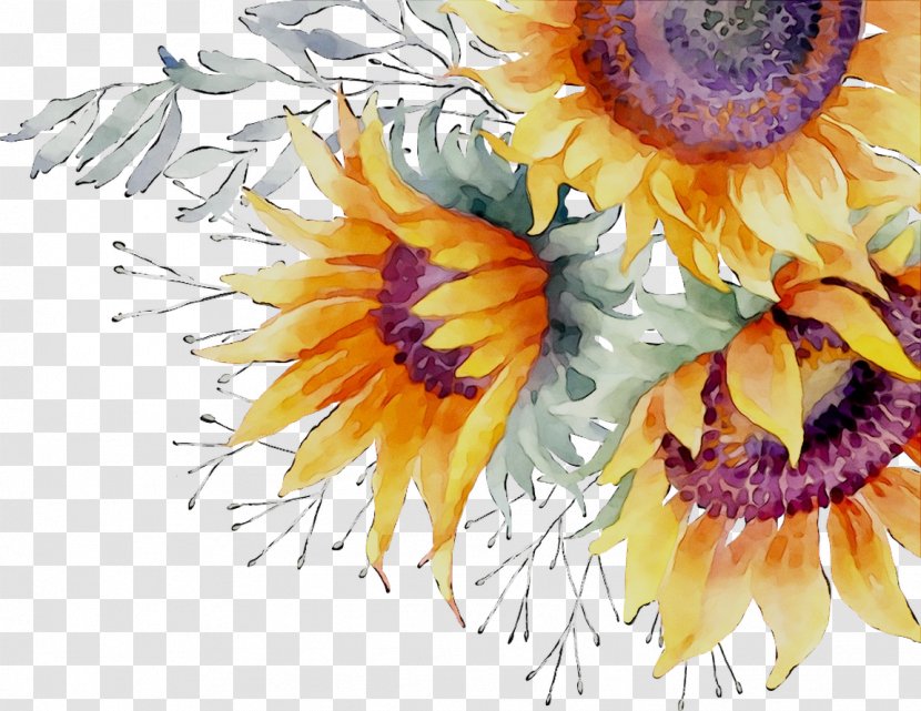 Common Sunflower Floral Design Cut Flowers Pot Marigold Watercolor Painting - Flowering Plant Transparent PNG