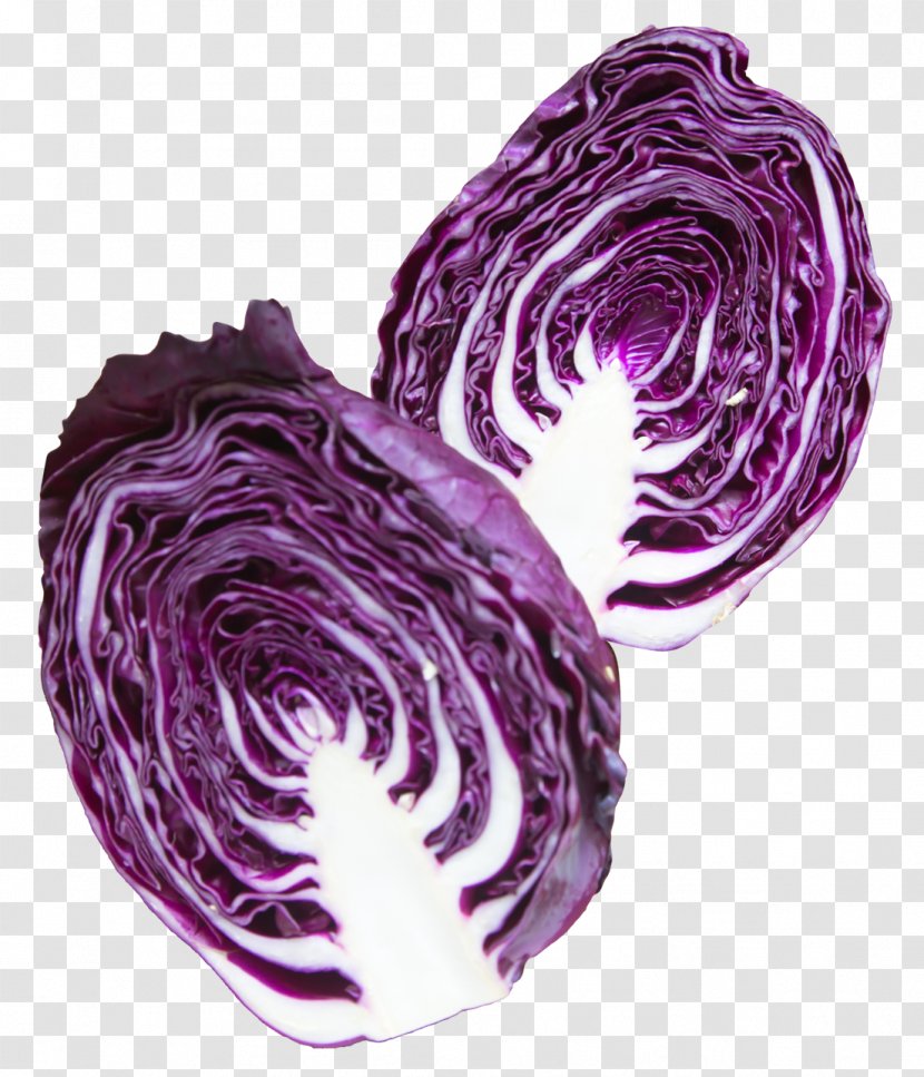 Red Cabbage Purple Vegetable - Produce - Pic Transparent PNG