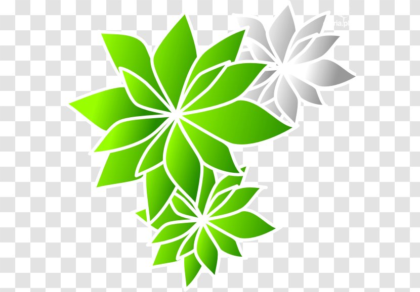 Leaf Line Flower Font - Green Transparent PNG