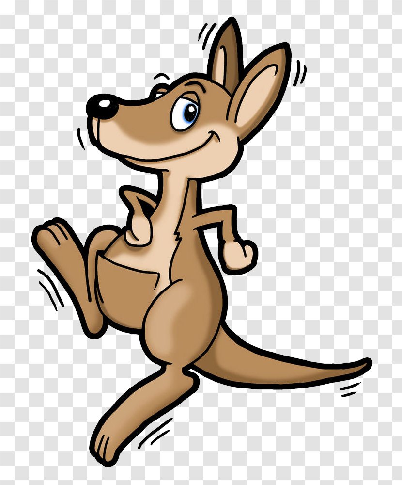 Drawing Kangaroo Cartoon Clip Art - Tail - Hung Clipart Transparent PNG