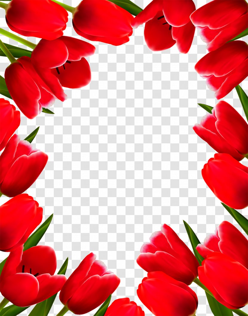 Tulip Flower Picture Frame Clip Art - Stock Photography - Border Transparent PNG