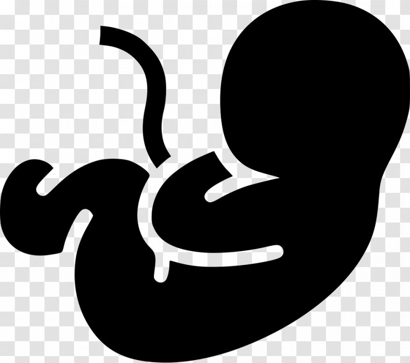 Pregnancy Fetus Infant Embryo Clip Art - Brand Transparent PNG