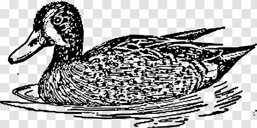 Duck Goose American Pekin Mallard Platypus Transparent PNG