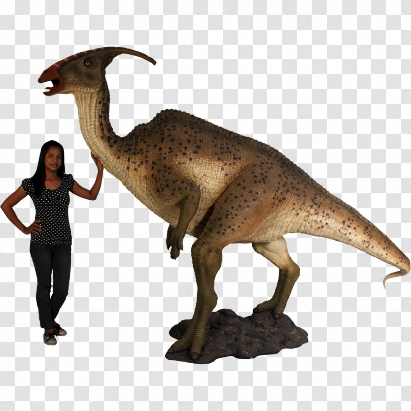 Tyrannosaurus Parasaurolophus Triceratops Allosaurus Velociraptor - Terrestrial Animal - Dinosaur Transparent PNG
