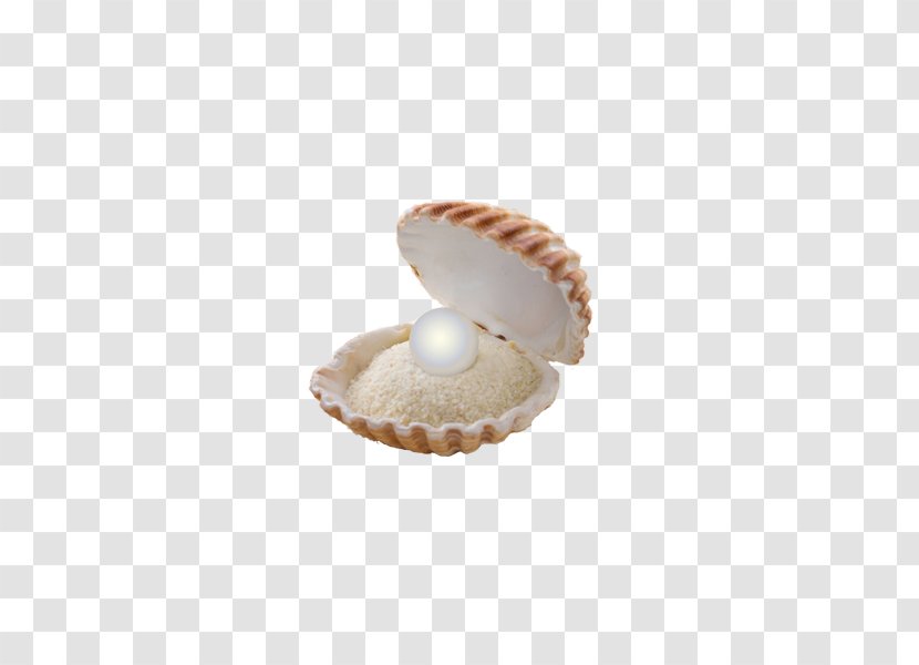 Clam Seashell Stock Photography - Sand - And In Shells Transparent PNG