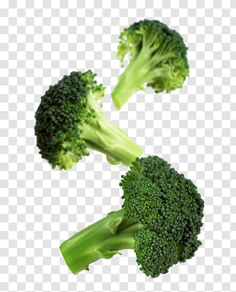 Romanesco Broccoli Cauliflower Vegetable Cabbage - Rapini Transparent PNG