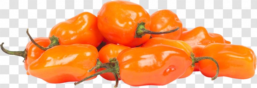 Habanero Bell Pepper Italian Cuisine Chili - Fruits And Vegetables Dishes Transparent PNG