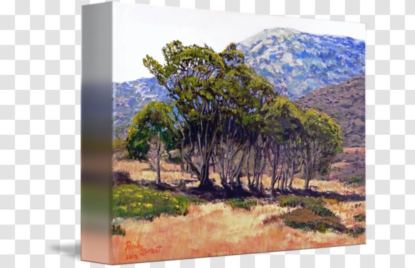 Avalon Two Harbors Painting Gum Trees Art - Sky - Eucalyptus Transparent PNG